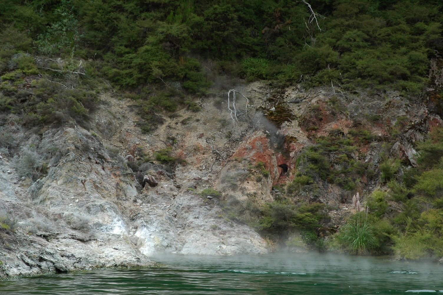 357   03 02   Rotorua + omgeving